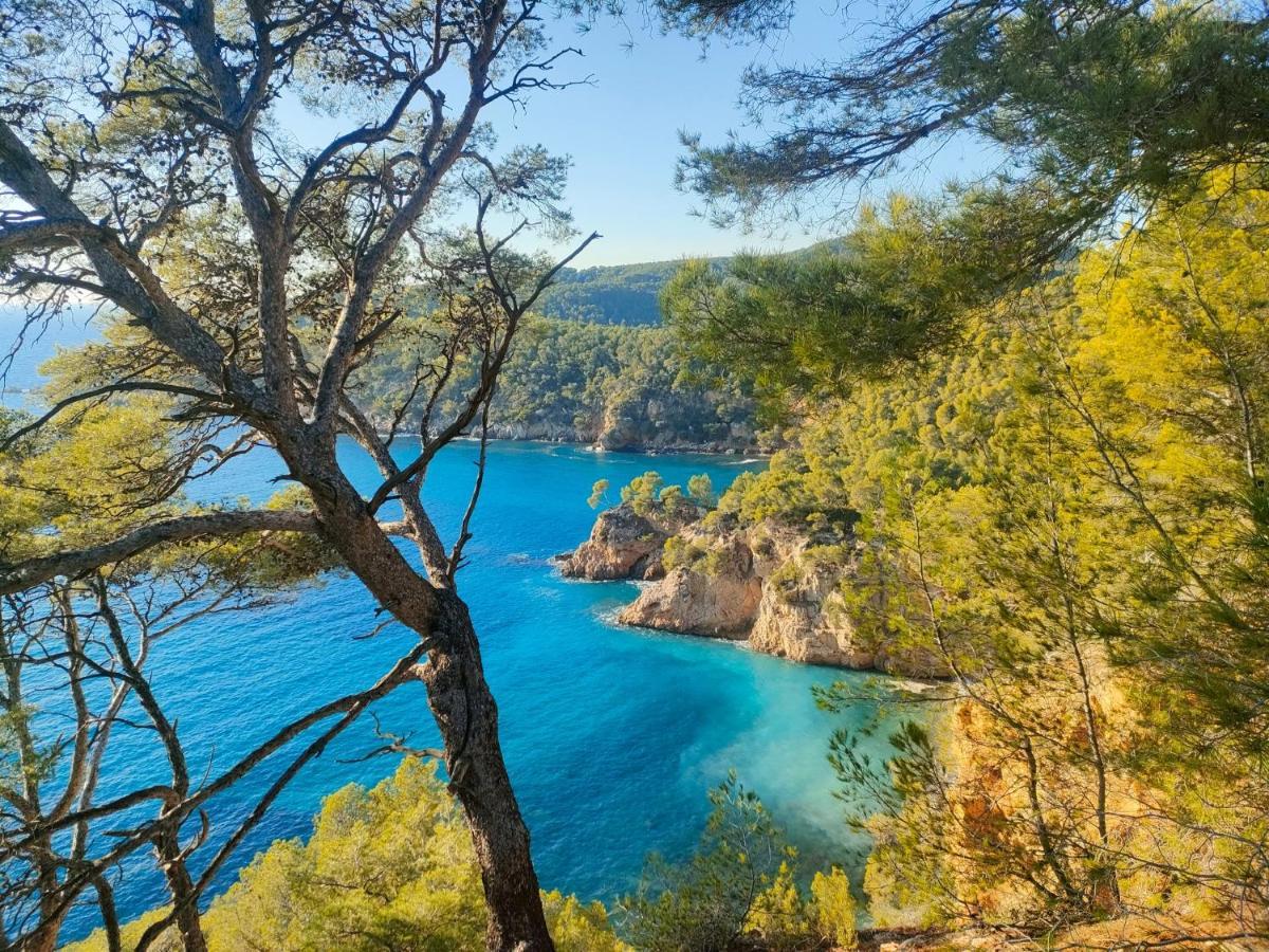T3 Saint Cyr Sur Mer 83270 Экстерьер фото